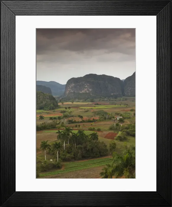 Framed Print : DDE-90027205 Framed Print : DDE-90027205