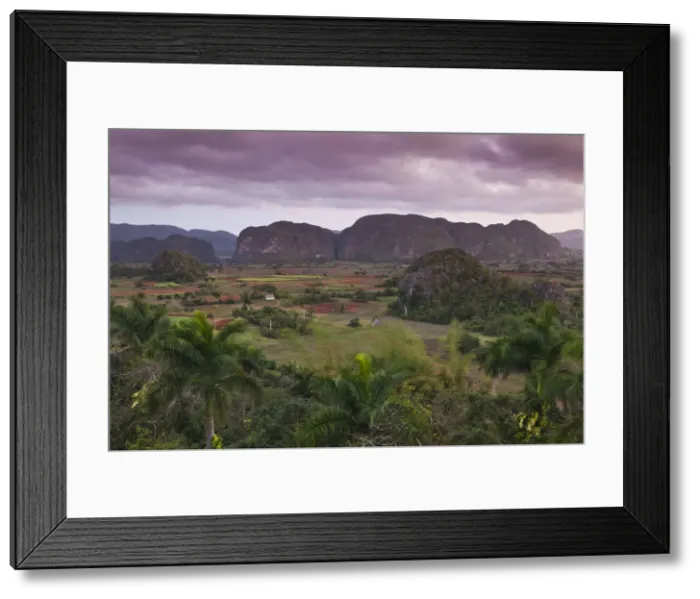Framed Print : DDE-90027206 Framed Print : DDE-90027206