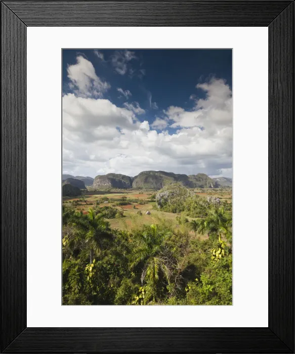Framed Print : DDE-90027208 Framed Print : DDE-90027208