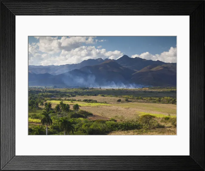 Framed Print : DDE-90027209 Framed Print : DDE-90027209