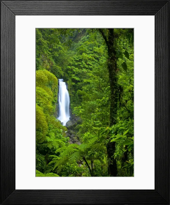 Framed Print : DDE-90027211