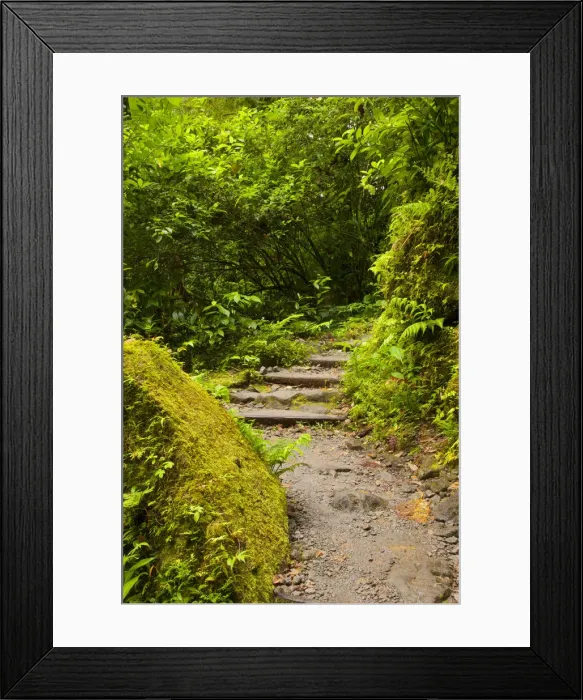Framed Print : DDE-90027212 Framed Print : DDE-90027212