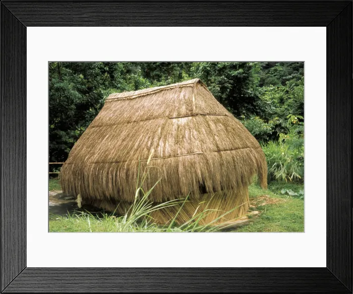 Framed Print : DDE-90027215 Framed Print : DDE-90027215