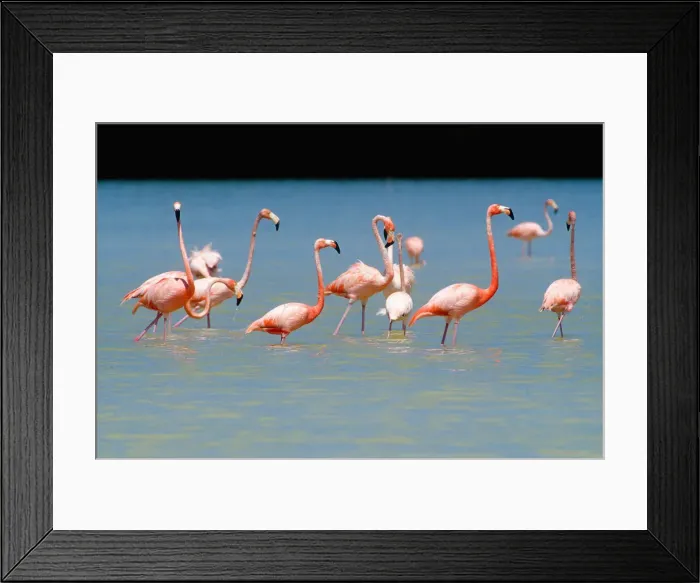 Framed Print : DDE-90027218 Framed Print : DDE-90027218