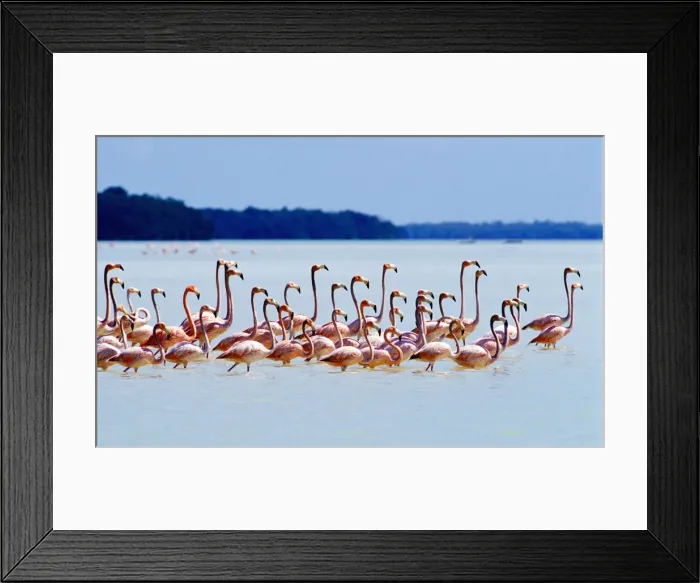 Framed Print : DDE-90027220