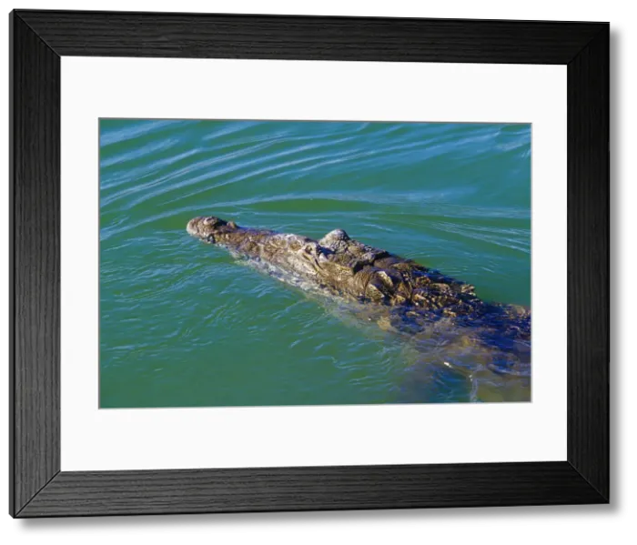 Framed Print : DDE-90027221 Framed Print : DDE-90027221