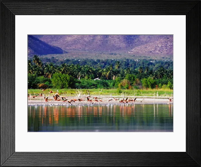 Framed Print : DDE-90027222 Framed Print : DDE-90027222