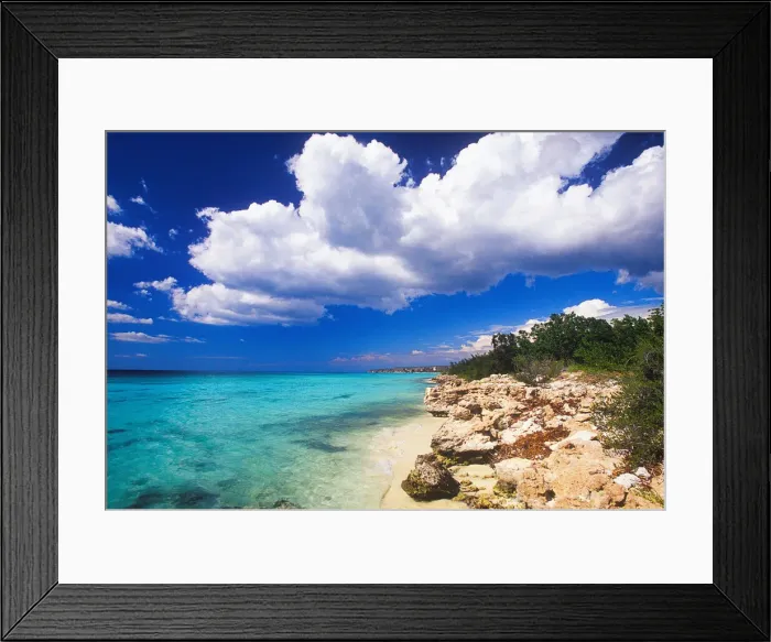 Framed Print : DDE-90027224 Framed Print : DDE-90027224
