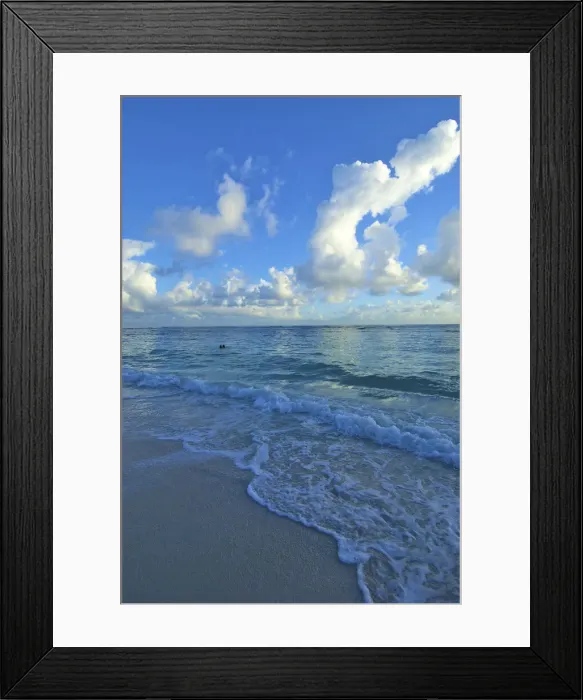 Framed Print : DDE-90027226 Framed Print : DDE-90027226