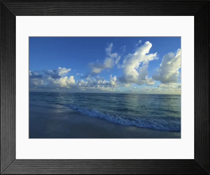 Framed Print : DDE-90027225 Framed Print : DDE-90027225
