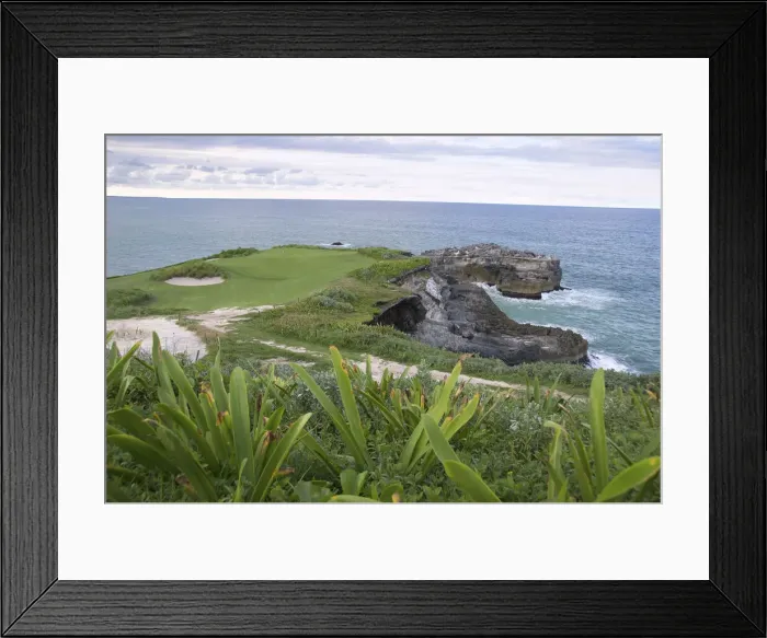 Framed Print : DDE-90027230