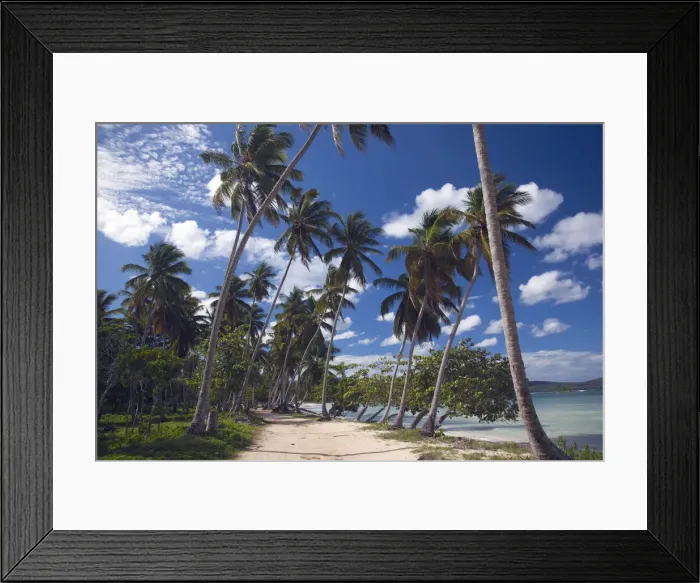 Framed Print : DDE-90027241