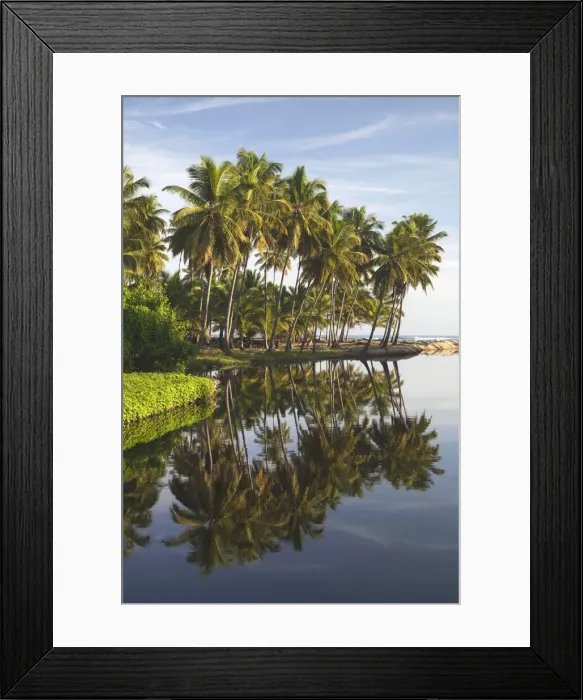 Framed Print : DDE-90027244 Framed Print : DDE-90027244
