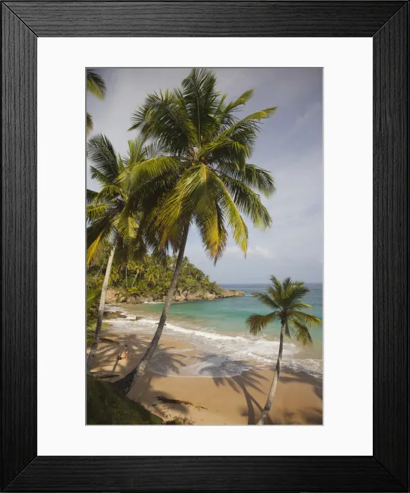 Framed Print : DDE-90027246 Framed Print : DDE-90027246