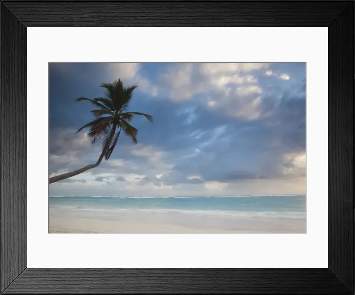 Framed Print : DDE-90027250 Framed Print : DDE-90027250