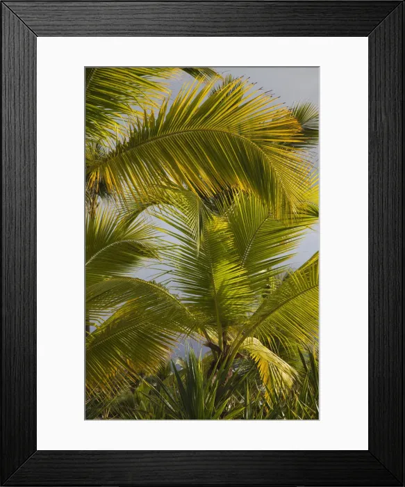 Framed Print : DDE-90027251 Framed Print : DDE-90027251