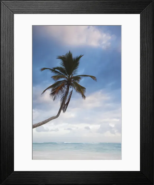 Framed Print : DDE-90027249 Framed Print : DDE-90027249