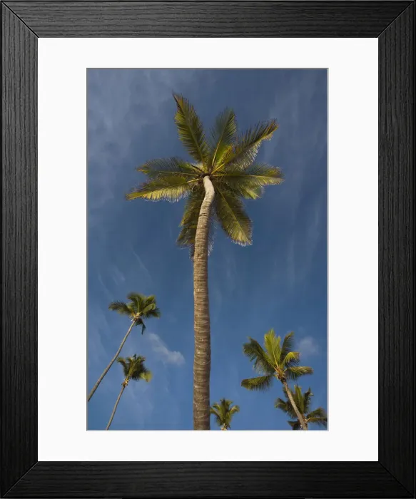 Framed Print : DDE-90027254 Framed Print : DDE-90027254
