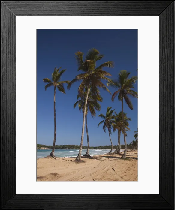 Framed Print : DDE-90027256 Framed Print : DDE-90027256
