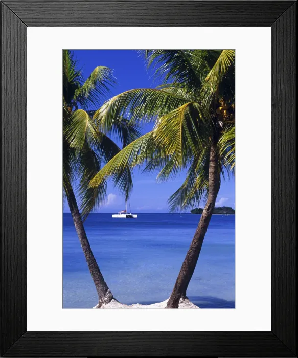 Framed Print : DDE-90027263 Framed Print : DDE-90027263