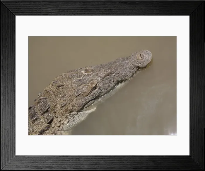 Framed Print : DDE-90027266 Framed Print : DDE-90027266