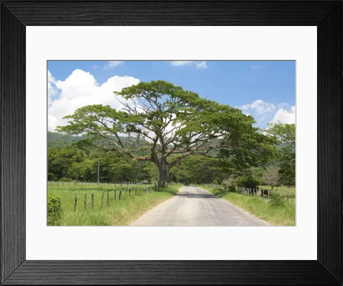 Framed Print : DDE-90027265 Framed Print : DDE-90027265