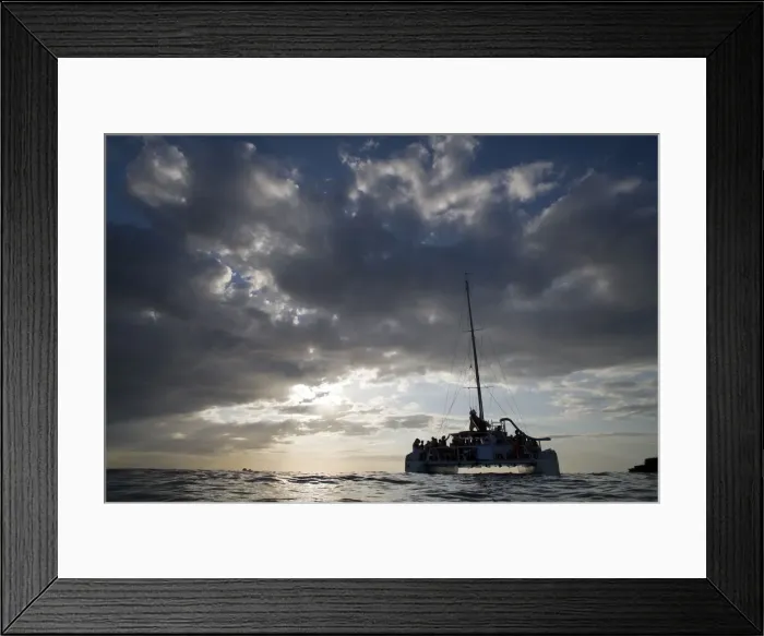 Framed Print : DDE-90027272
