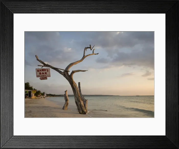 Framed Print : DDE-90027276 Framed Print : DDE-90027276