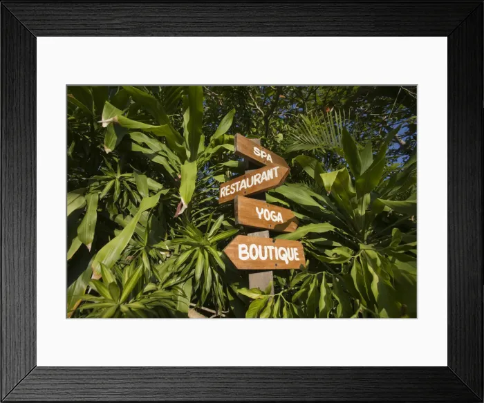 Framed Print : DDE-90027278 Framed Print : DDE-90027278