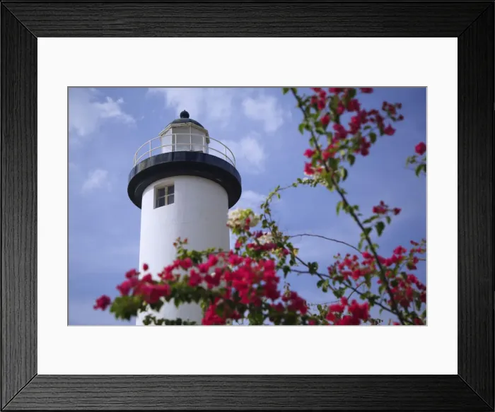 Framed Print : DDE-90027291