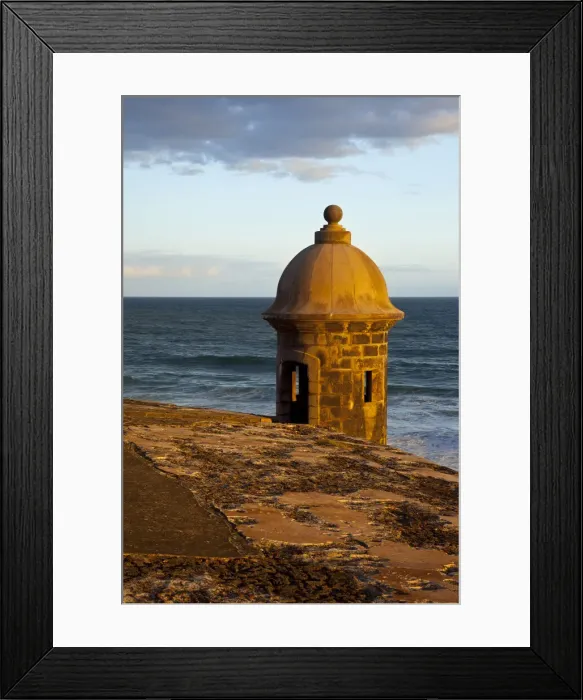 Framed Print : DDE-90027296 Framed Print : DDE-90027296