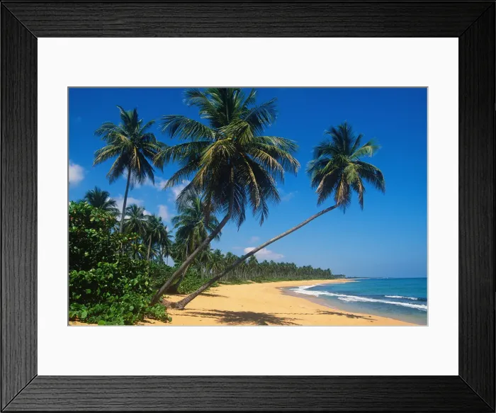 Framed Print : DDE-90027303 Framed Print : DDE-90027303