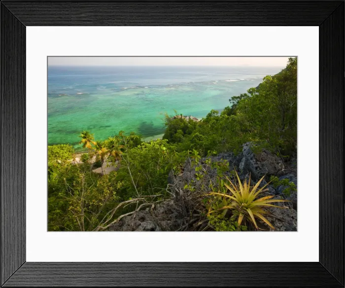 Framed Print : DDE-90027310 Framed Print : DDE-90027310