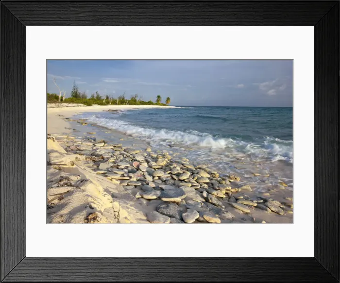 Framed Print : DDE-90027318 Framed Print : DDE-90027318