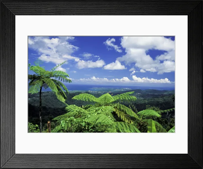 Framed Print : DDE-90027319 Framed Print : DDE-90027319