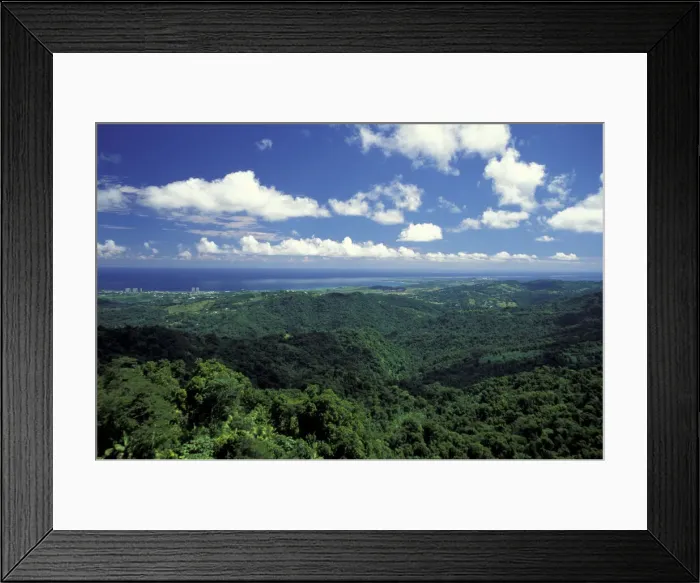 Framed Print : DDE-90027320 Framed Print : DDE-90027320