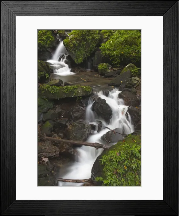 Framed Print : DDE-90027323 Framed Print : DDE-90027323