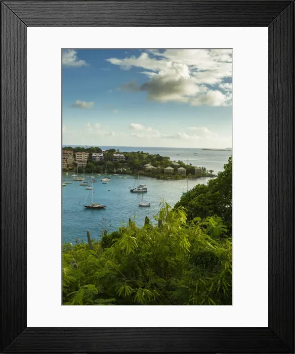 Framed Print : DDE-90027326