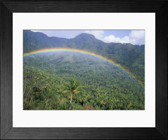 Framed Print : DDE-90027342 Framed Print : DDE-90027342