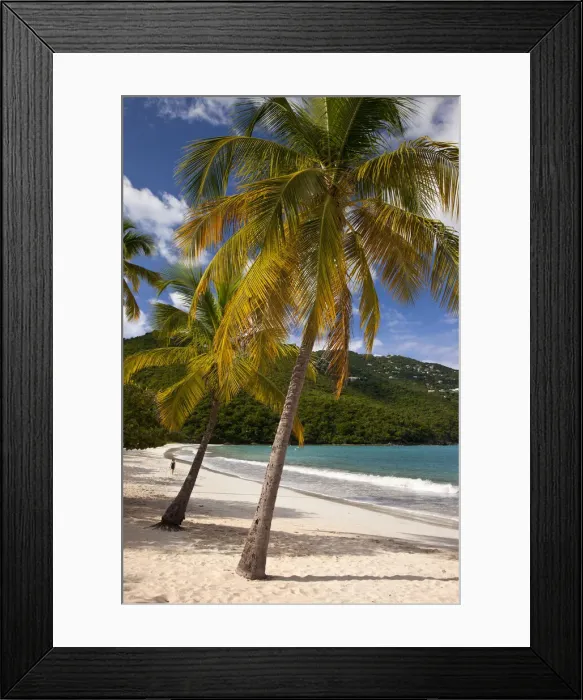 Framed Print : DDE-90027346 Framed Print : DDE-90027346