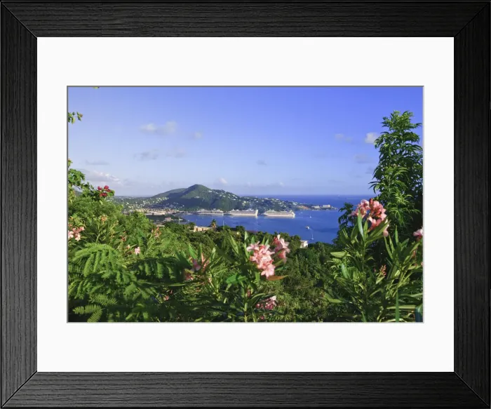Framed Print : DDE-90027348 Framed Print : DDE-90027348