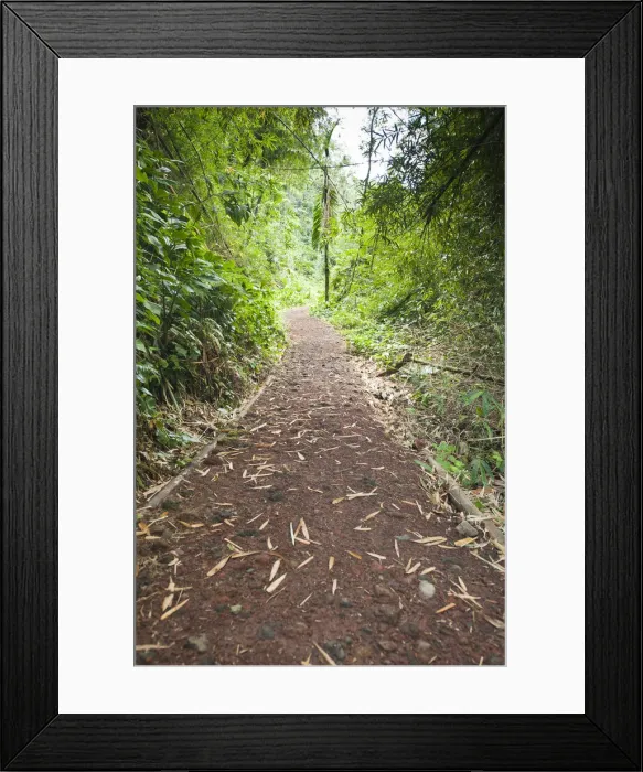 Framed Print : DDE-90027355 Framed Print : DDE-90027355