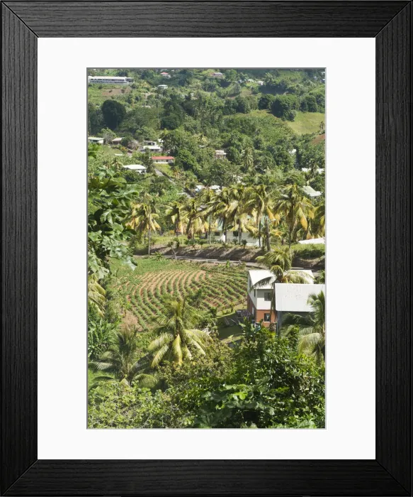 Framed Print : DDE-90027360 Framed Print : DDE-90027360