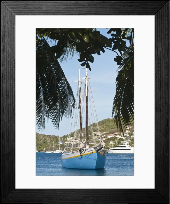 Framed Print : DDE-90027362