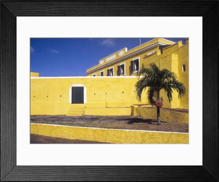 Framed Print : DDE-90027377