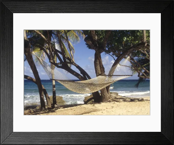 Framed Print : DDE-90027380 Framed Print : DDE-90027380