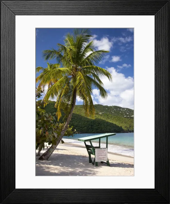 Framed Print : DDE-90027386 Framed Print : DDE-90027386