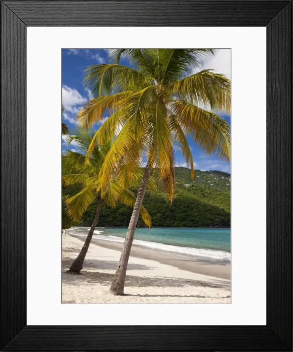 Framed Print : DDE-90027387 Framed Print : DDE-90027387