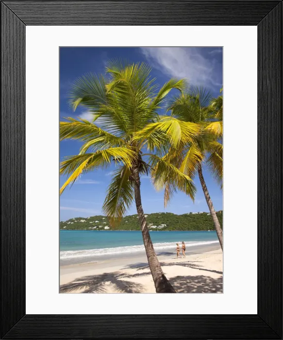 Framed Print : DDE-90027390 Framed Print : DDE-90027390