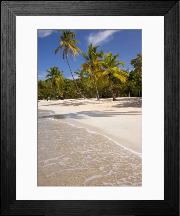 Framed Print : DDE-90027392 Framed Print : DDE-90027392
